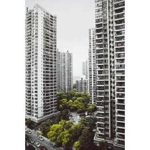 green-trees-between-tall-buildlings.jpg